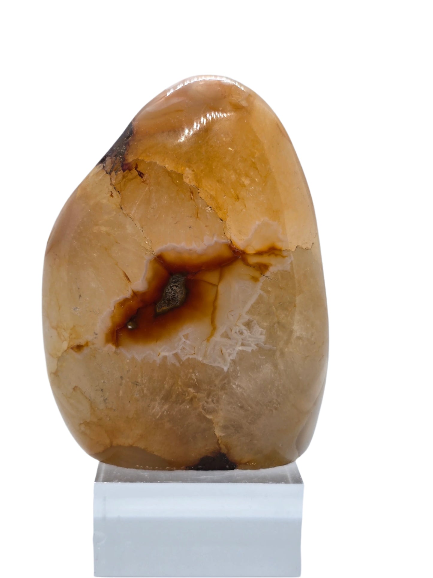 CARNELIAN FLOWERED AGATE FREE FORM