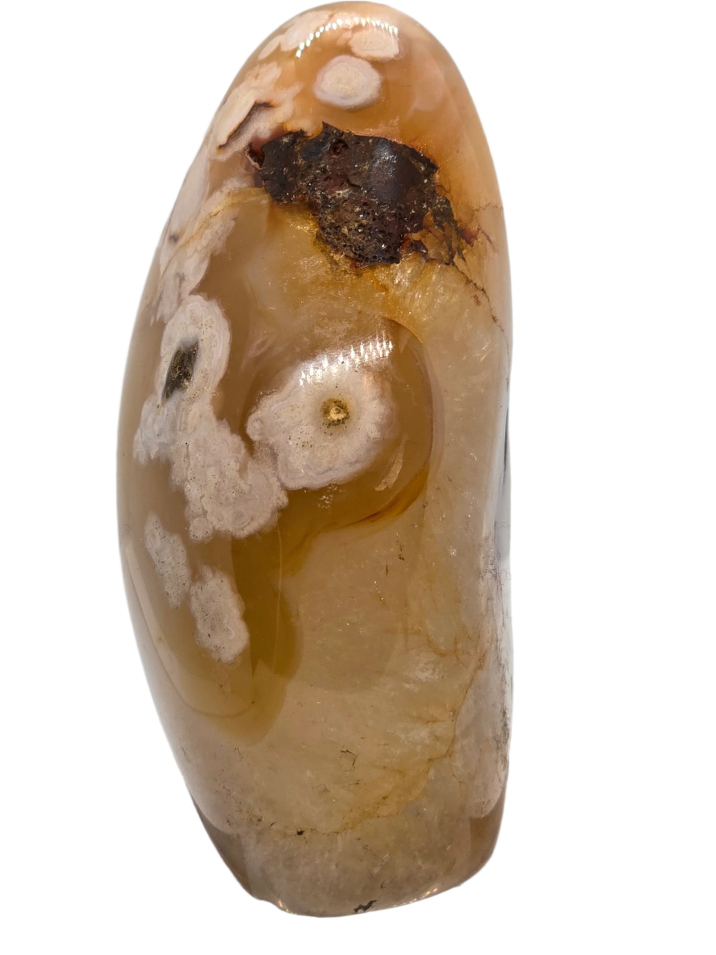 CARNELIAN FLOWERED AGATE FREE FORM