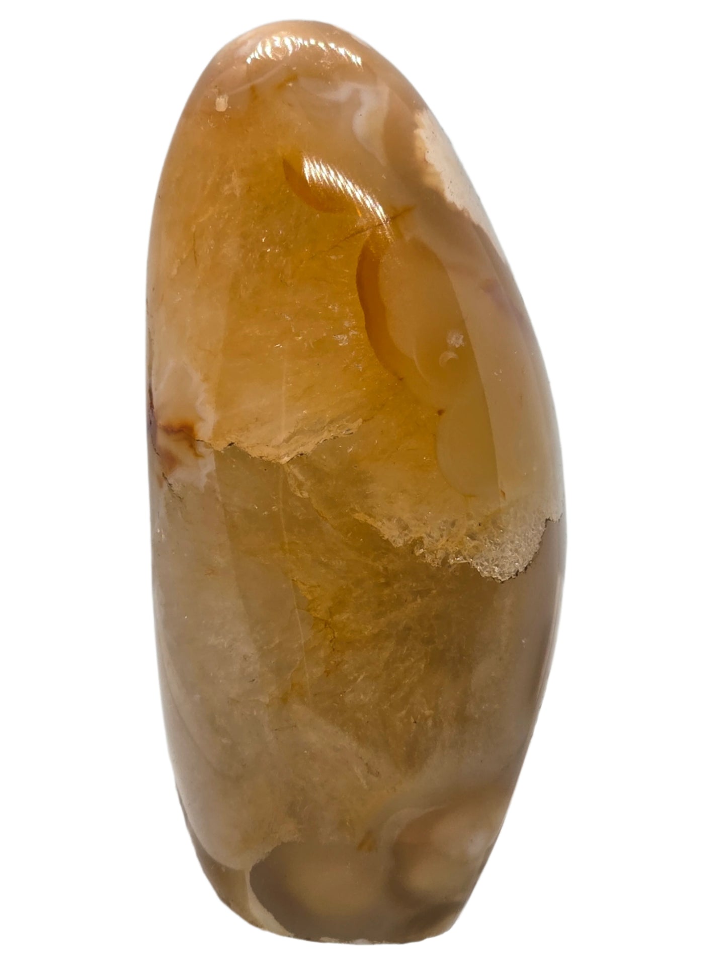 CARNELIAN FLOWERED AGATE FREE FORM